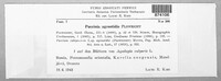 Puccinia recondita image